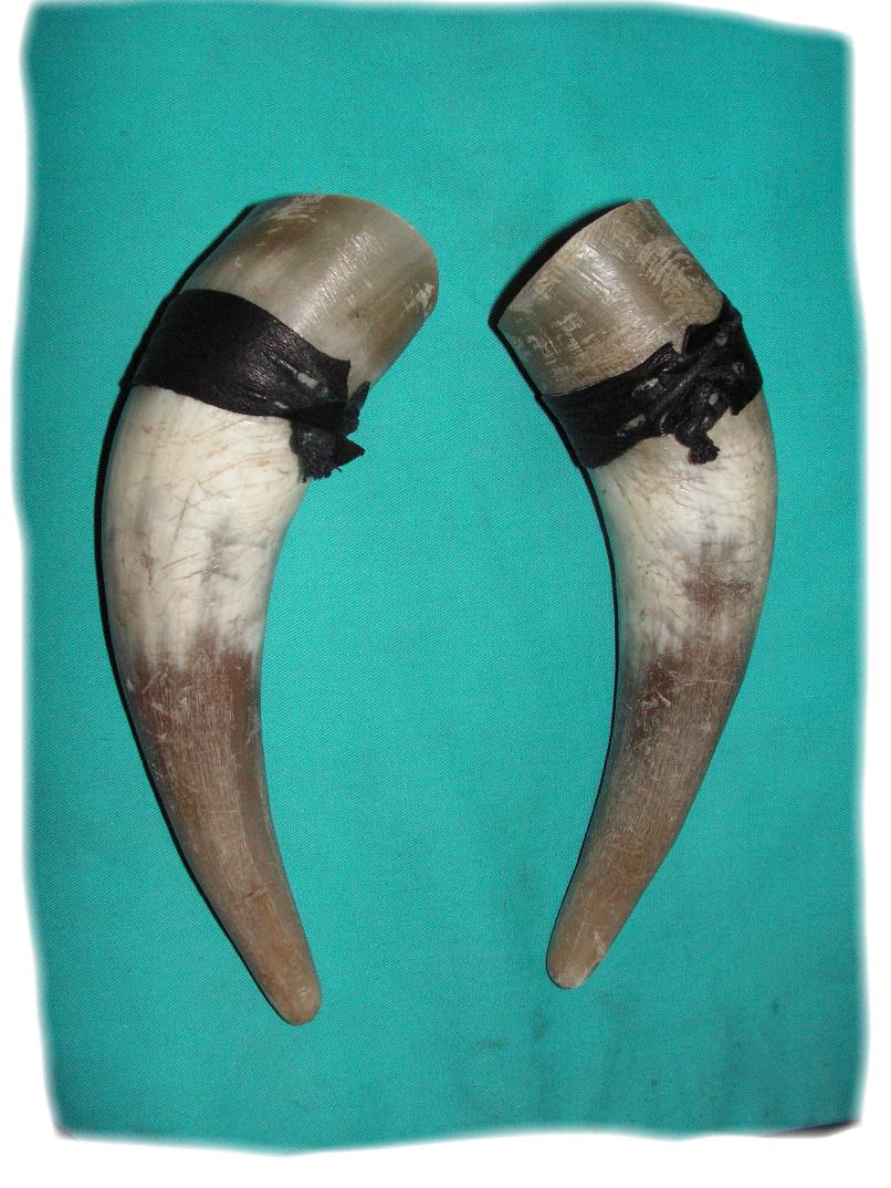 echoppe viking