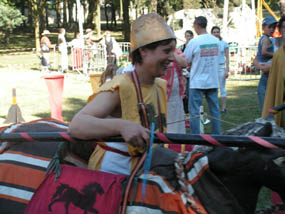 chevaux jupon spectacle medieval