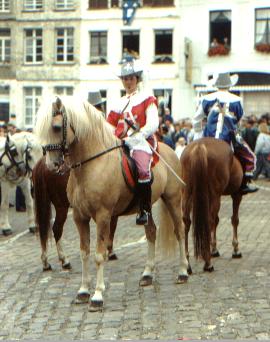 joute medievale