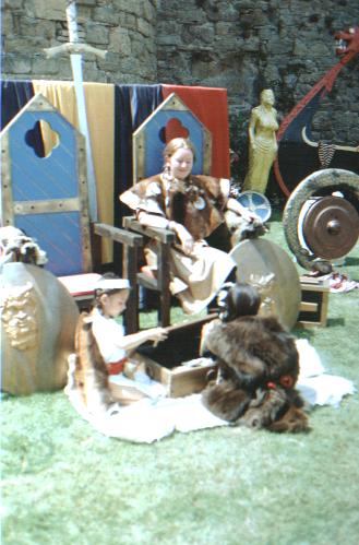 vie viking